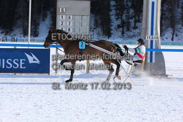 ET0Q0763 prot